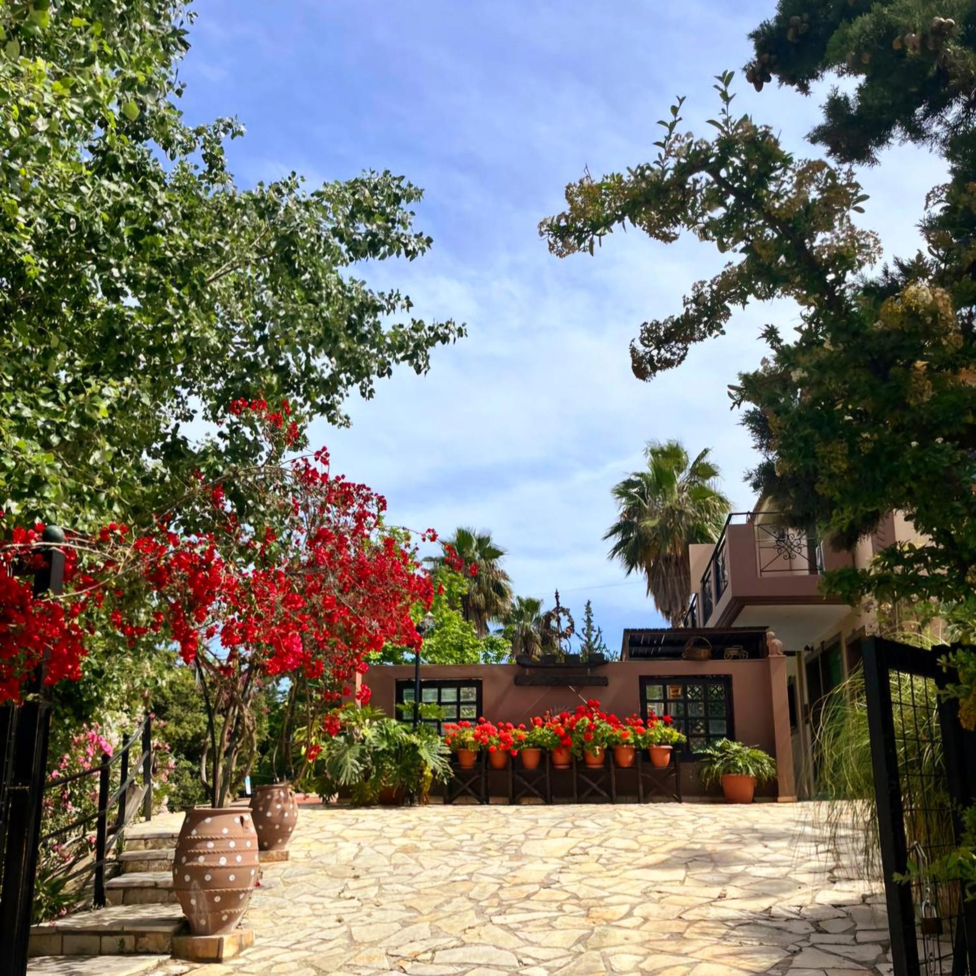 Okeanis Apartments & Suites Adults Only 凯特利奥斯 外观 照片